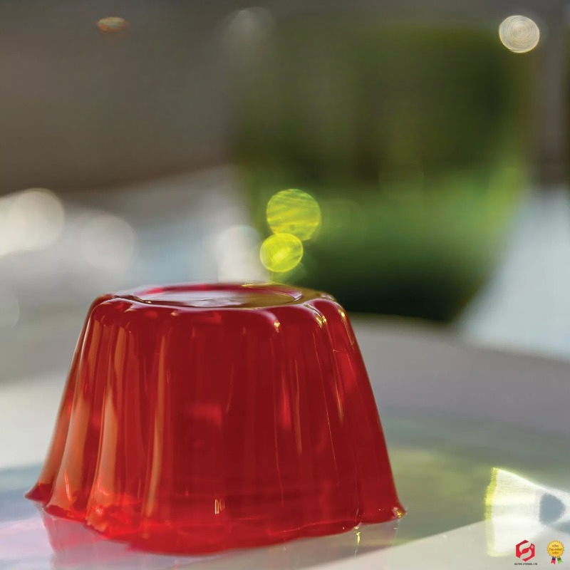 Pudding-Kuchenform mit Deckel, – Baby Food Home Bewertung und Preis