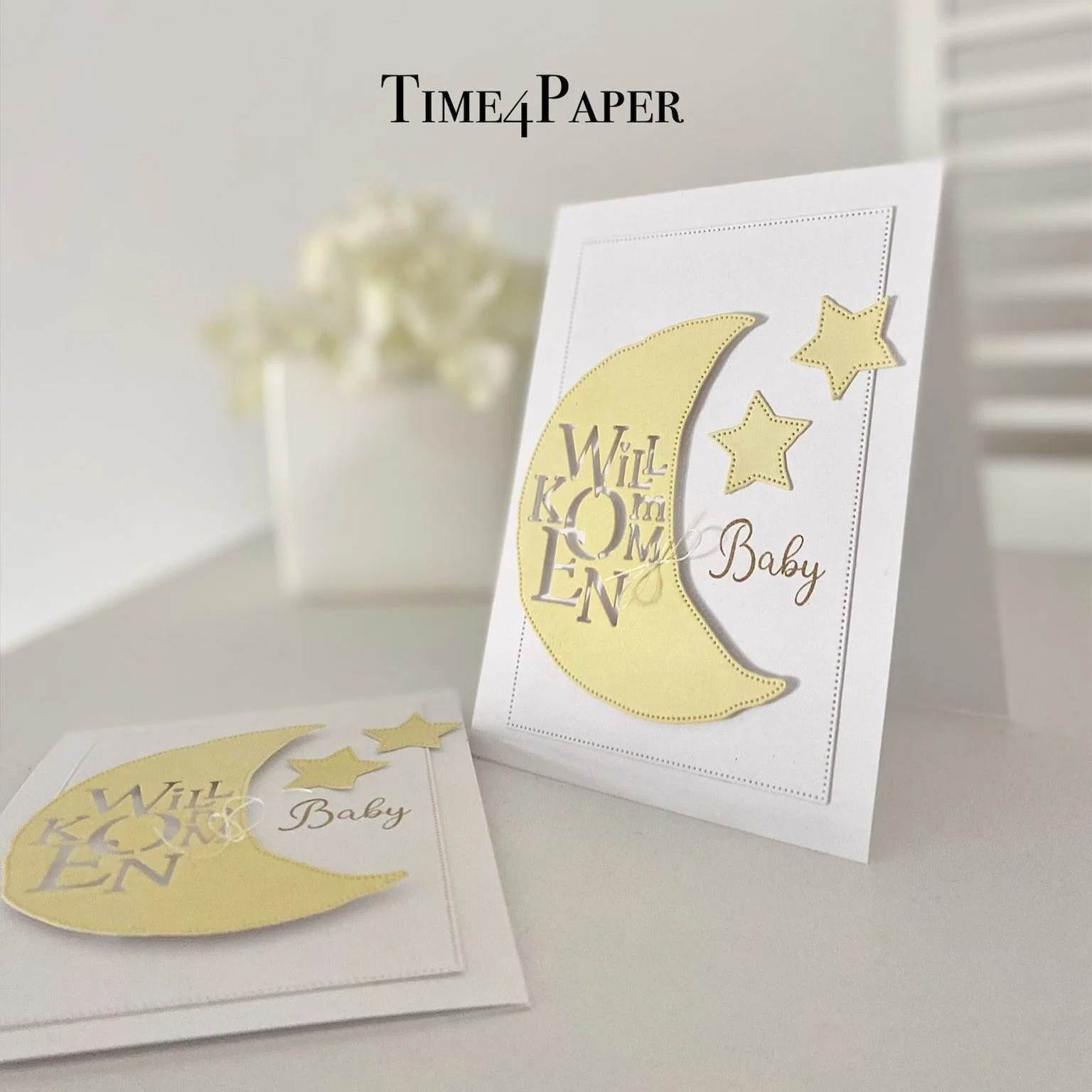 Baby-Koffer-Stempel und -Schab – Baby Food Packaging Bewertung und Preis